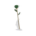 Timeless Rose (Green)
